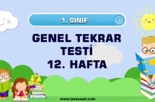 1. sınıf 12. Hafta Genel Tekrar Testi