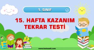 1.Sınıf 15. HAFTA KAZANIM TEKRAR TESTİ