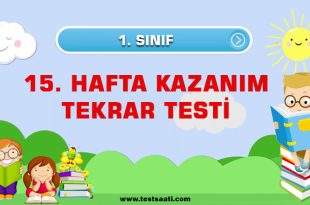 1.Sınıf 15. HAFTA KAZANIM TEKRAR TESTİ