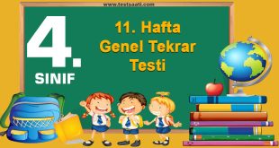 11. Hafta Genel Tekrar Testi