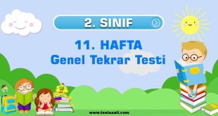 2.-Sınıf-11.-HAFTA-Genel-Tekrar-Testi