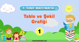 3.-Sınıf-Tablo-ve-Şekil-Grafiği-1