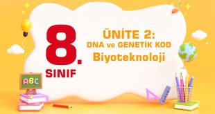 8.-Sınıf-ÜNİTE-2-DNA-ve-GENETİK-KOD-Biyoteknoloji