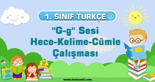 Hece-Kelime-Cümle Çalışması