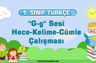 Hece-Kelime-Cümle Çalışması
