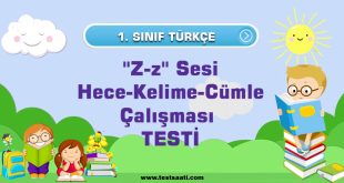 Hece-Kelime-Cümle Çalışması