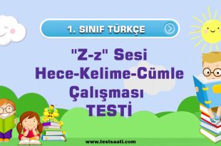 Hece-Kelime-Cümle Çalışması