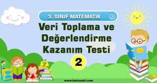 3. sınıf Veri Toplama ve Değerlendirme Kazanım Testi