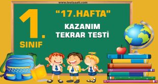 1. Sınıf 17. HAFTA KAZANIM TEKRAR TESTİ