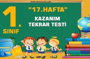 1. Sınıf 17. HAFTA KAZANIM TEKRAR TESTİ