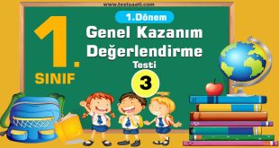 genel-değerlendirme-testi