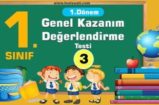 genel-değerlendirme-testi