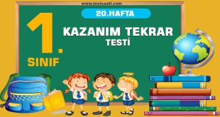 1. SINIF -20. HAFTA KAZANIM TEKRAR -TESTİ