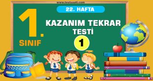 1. Sınıf 22. HAFTA KAZANIM TEKRAR Testi-1