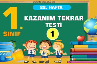 1. Sınıf 22. HAFTA KAZANIM TEKRAR Testi-1