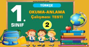 1. Sınıf OKUMA-ANLAMA Çalışması Testi-2