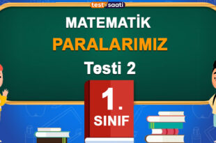 PARALARIMIZ