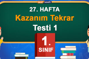 1. Sınıf 27. HAFTA KAZANIM TEKRAR Testi-1