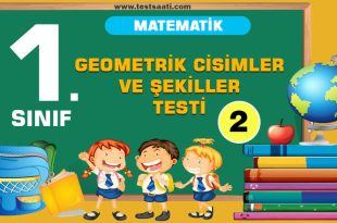 1.-Sınıf-Geometrik-Cisimler-ve-Şekiller-TEST-2