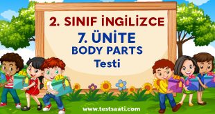2.-SINIF-İNGİLİZCE-7.-ÜNİTE-BODY-PARTS