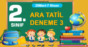 2.SINIF ARA TATİL DENEME SINAVI TEST 3