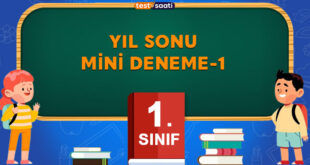 Yıl Sonu MİNİ DENEME-1