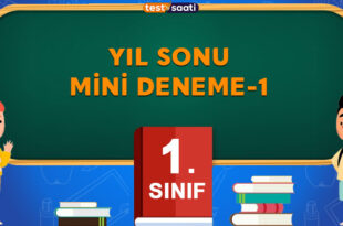 Yıl Sonu MİNİ DENEME-1