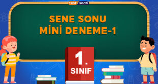 Sene Sonu MİNİ DENEME-1