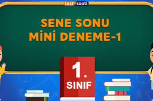 Sene Sonu MİNİ DENEME-1