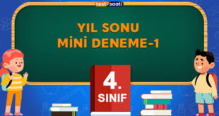 Yıl Sonu MİNİ DENEME-1