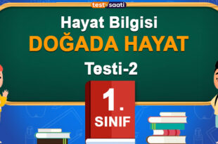 DOĞADA HAYAT