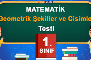 Geometrik Şekiller ve Cisimler