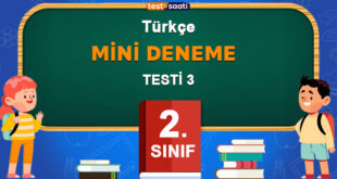 Mini Deneme