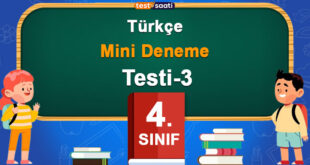 Mini Deneme