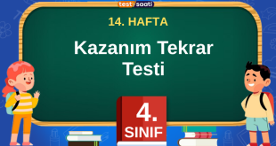 4. Sınıf 14. Hafta Kazanım Tekrar Testi