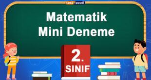 Matematik Mini Deneme