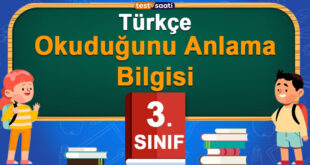 Okuduğunu Anlama Bilgisi
