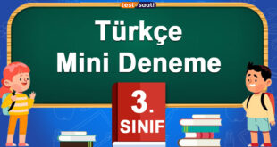 Türkçe Mini Deneme