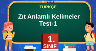 Zıt Anlamlı Kelimeler Test-1