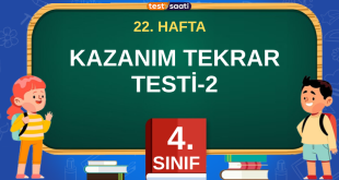 4. Sınıf 22. Hafta Kazanım Tekrar Testi-2