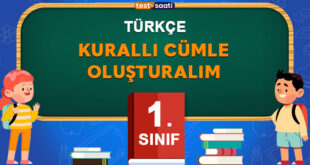 Kurallı Cümle Oluşturalım