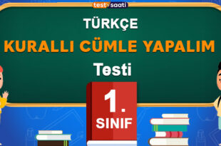 Kurallı Cümle Yapalım
