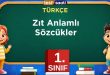 Zıt Anlamlı Sözcükler