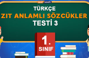 Zıt Anlamlı Sözcükler-3