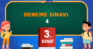 DENEME SINAVI