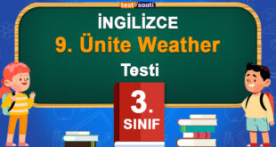 Weather