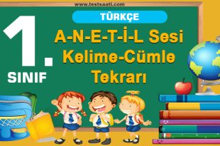 A-N-E-T-İ-L Sesi Kelime-Cümle Tekrarı