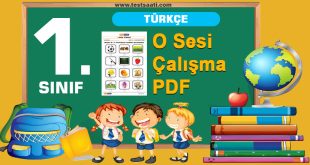 O Sesi Çalışma PDF