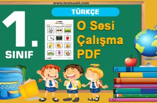O Sesi Çalışma PDF