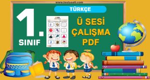 1.SINIF Ü SESİ ÇALIŞMA PDF